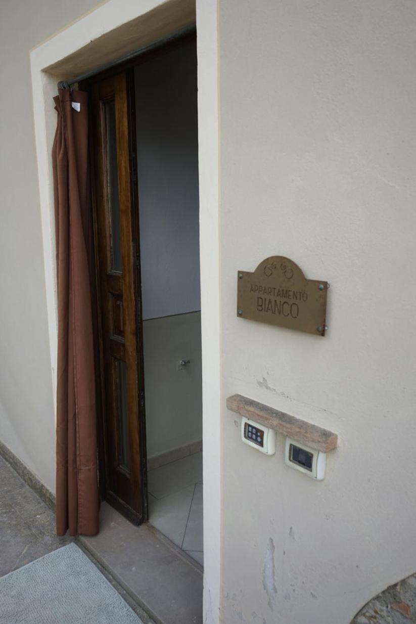 Agriturismo Signorini Orciatico ภายนอก รูปภาพ