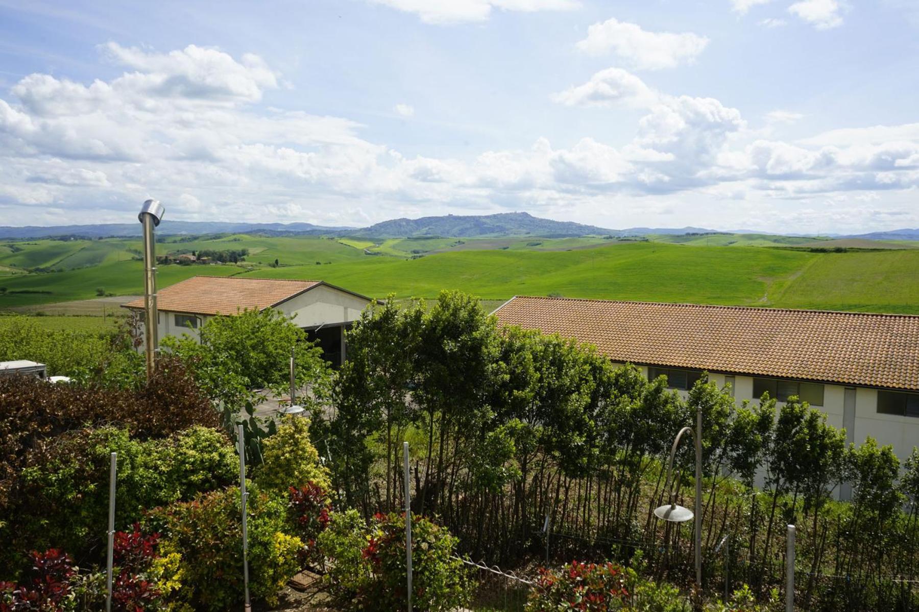 Agriturismo Signorini Orciatico ภายนอก รูปภาพ