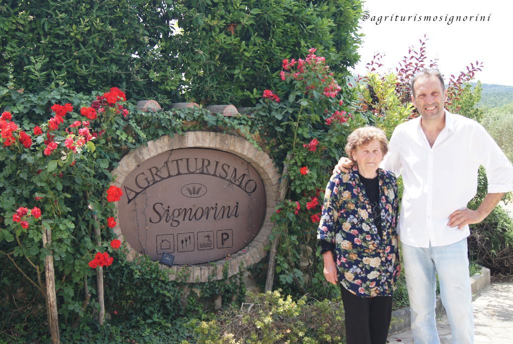 Agriturismo Signorini Orciatico ภายนอก รูปภาพ