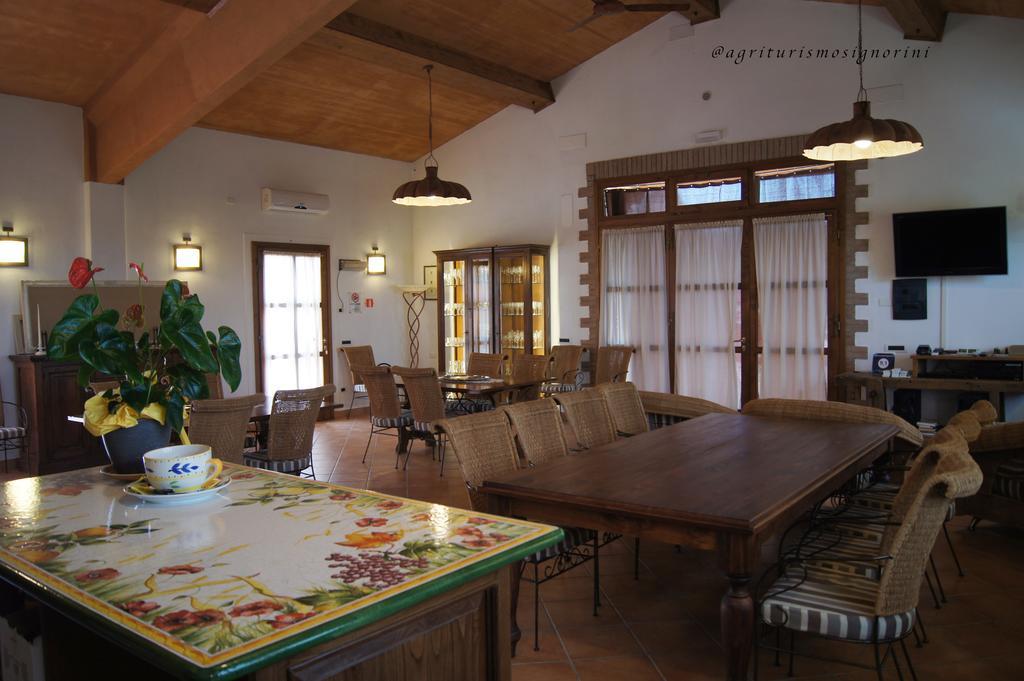 Agriturismo Signorini Orciatico ภายนอก รูปภาพ