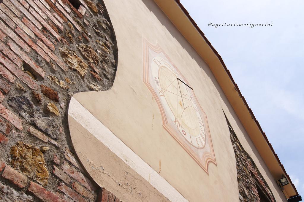 Agriturismo Signorini Orciatico ภายนอก รูปภาพ
