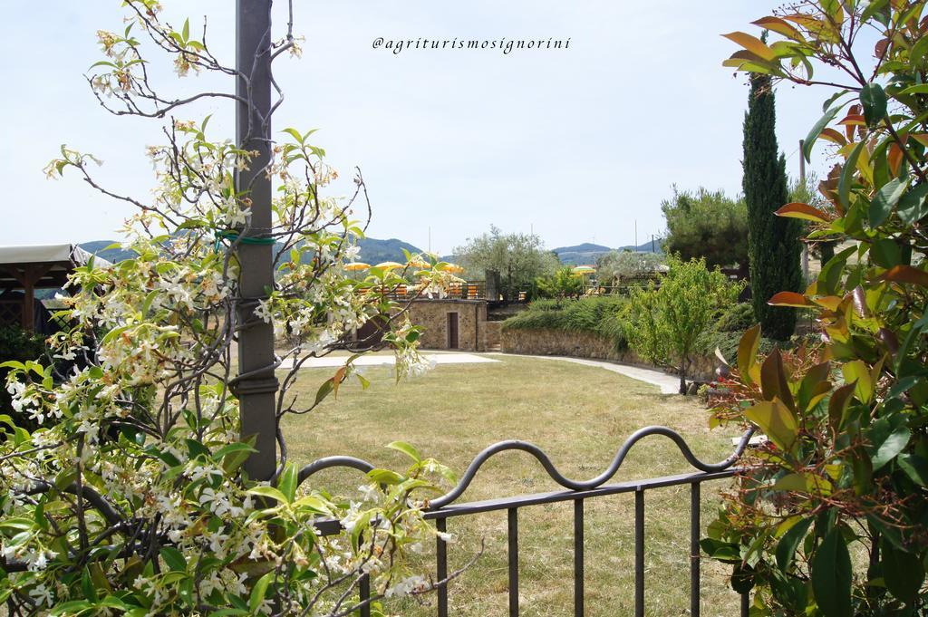 Agriturismo Signorini Orciatico ภายนอก รูปภาพ