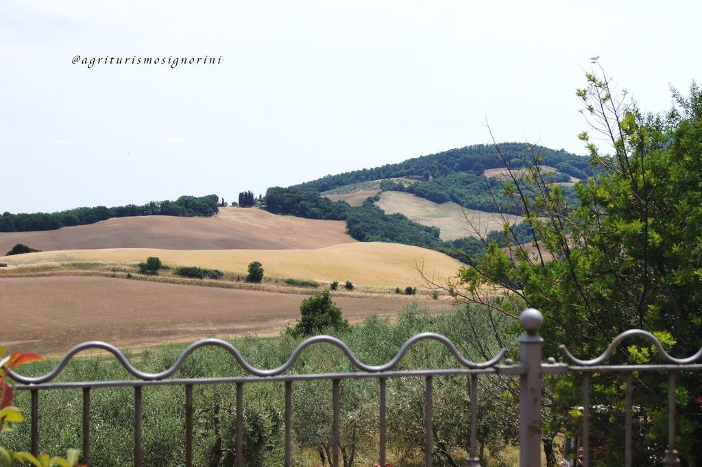 Agriturismo Signorini Orciatico ภายนอก รูปภาพ