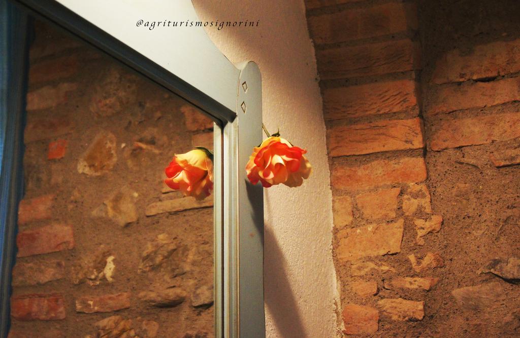 Agriturismo Signorini Orciatico ภายนอก รูปภาพ