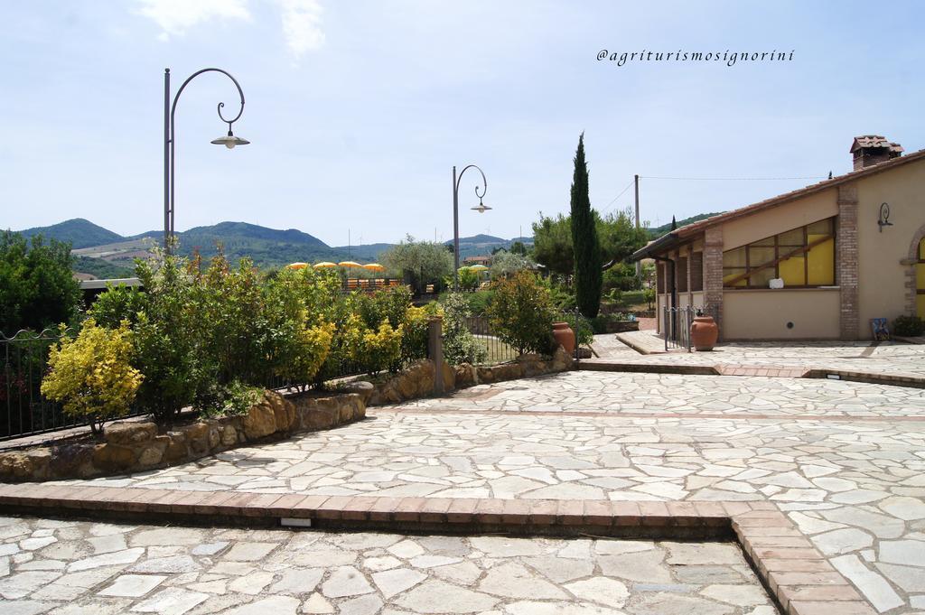 Agriturismo Signorini Orciatico ภายนอก รูปภาพ