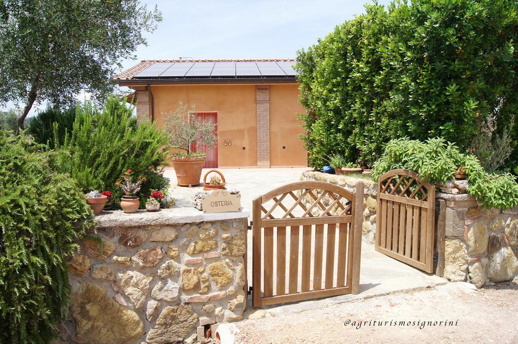 Agriturismo Signorini Orciatico ภายนอก รูปภาพ