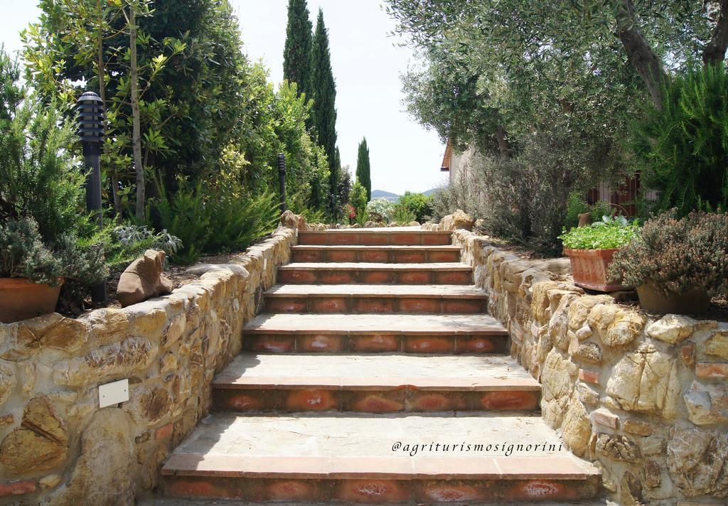Agriturismo Signorini Orciatico ภายนอก รูปภาพ