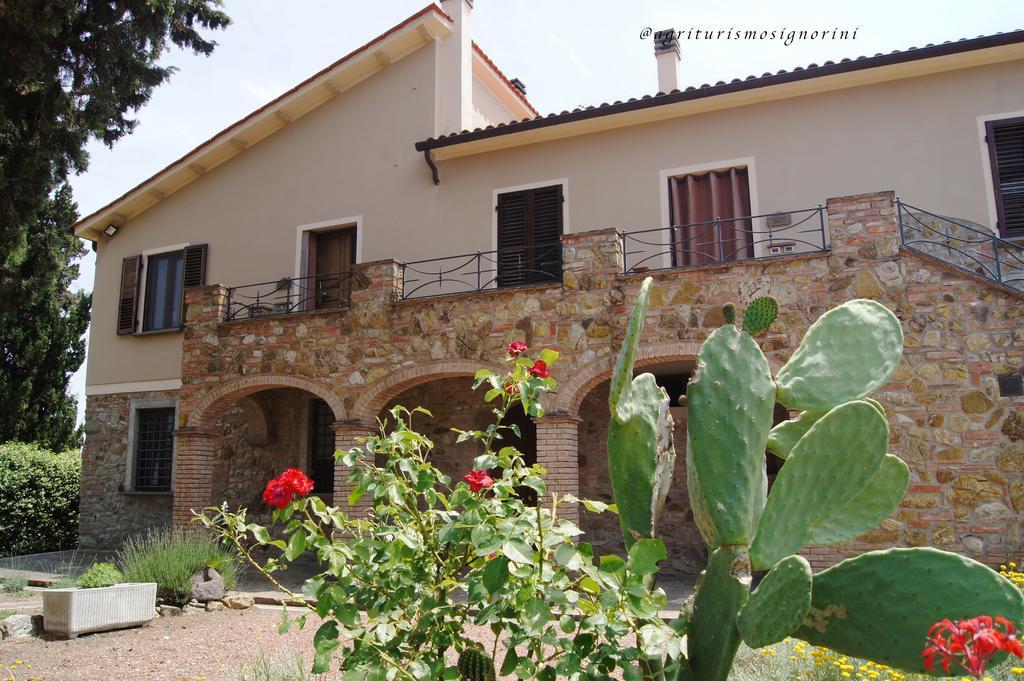 Agriturismo Signorini Orciatico ภายนอก รูปภาพ