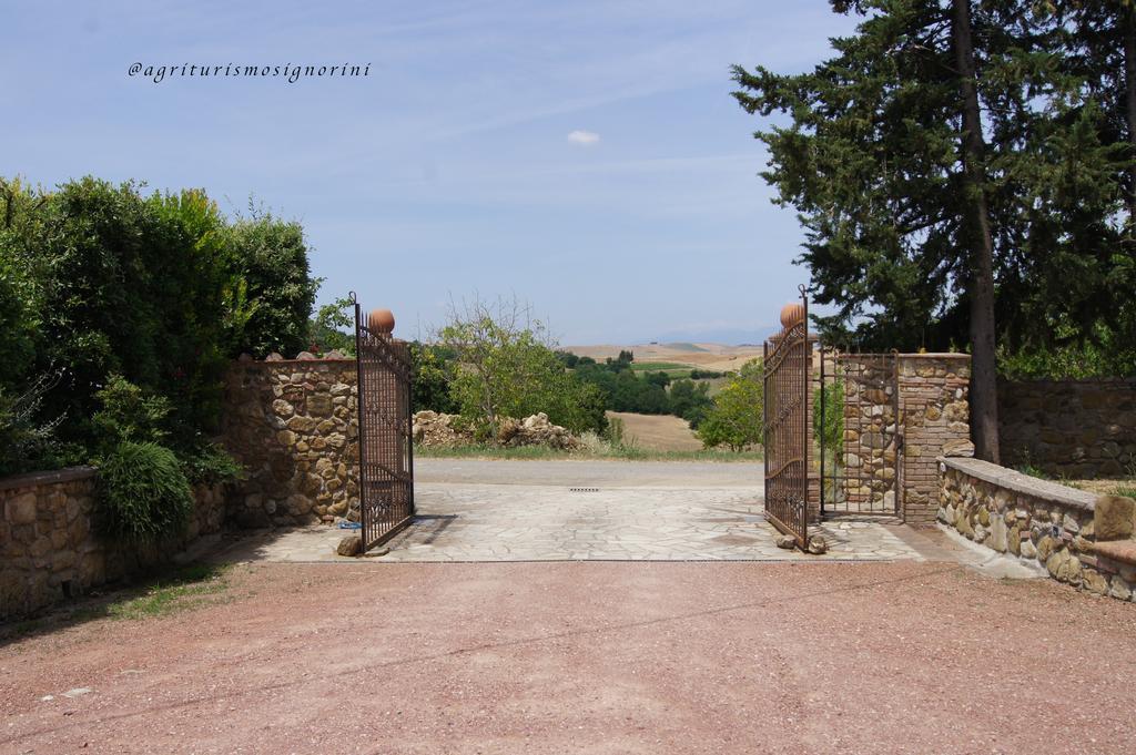 Agriturismo Signorini Orciatico ภายนอก รูปภาพ
