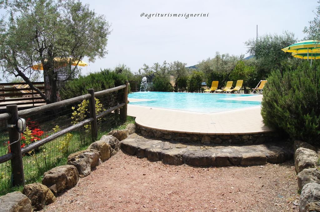 Agriturismo Signorini Orciatico ภายนอก รูปภาพ