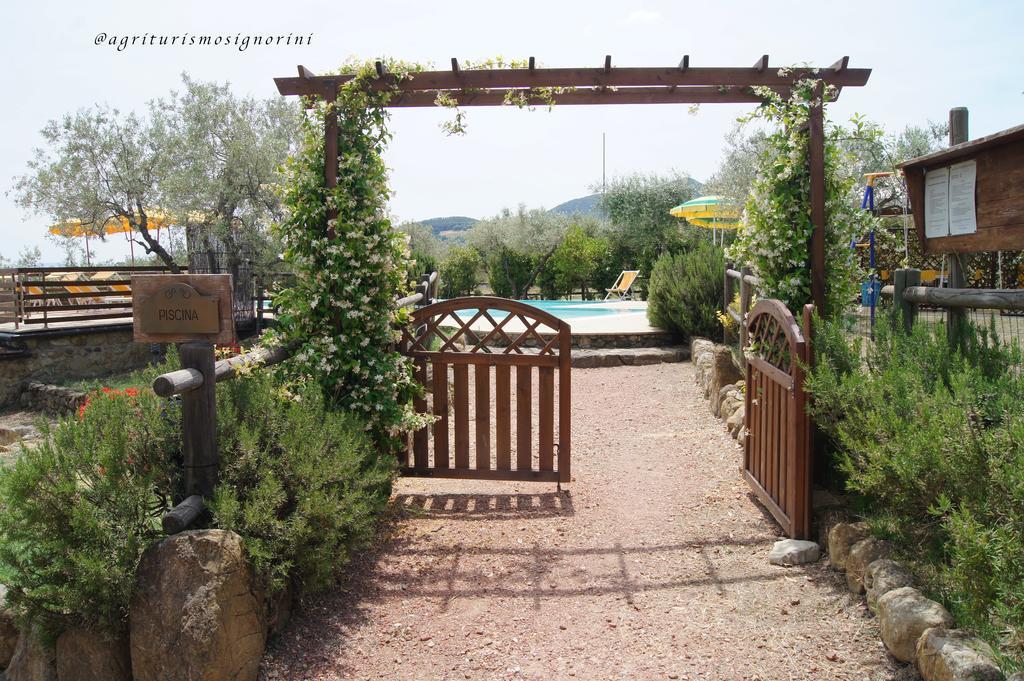 Agriturismo Signorini Orciatico ภายนอก รูปภาพ