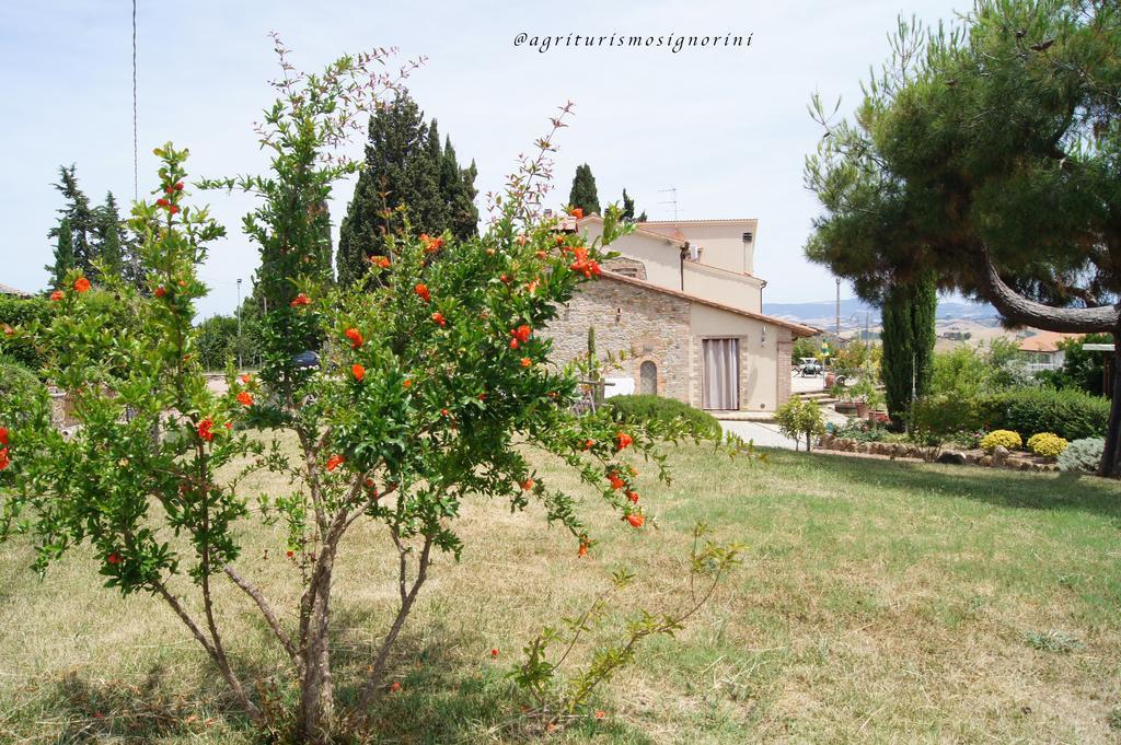 Agriturismo Signorini Orciatico ภายนอก รูปภาพ