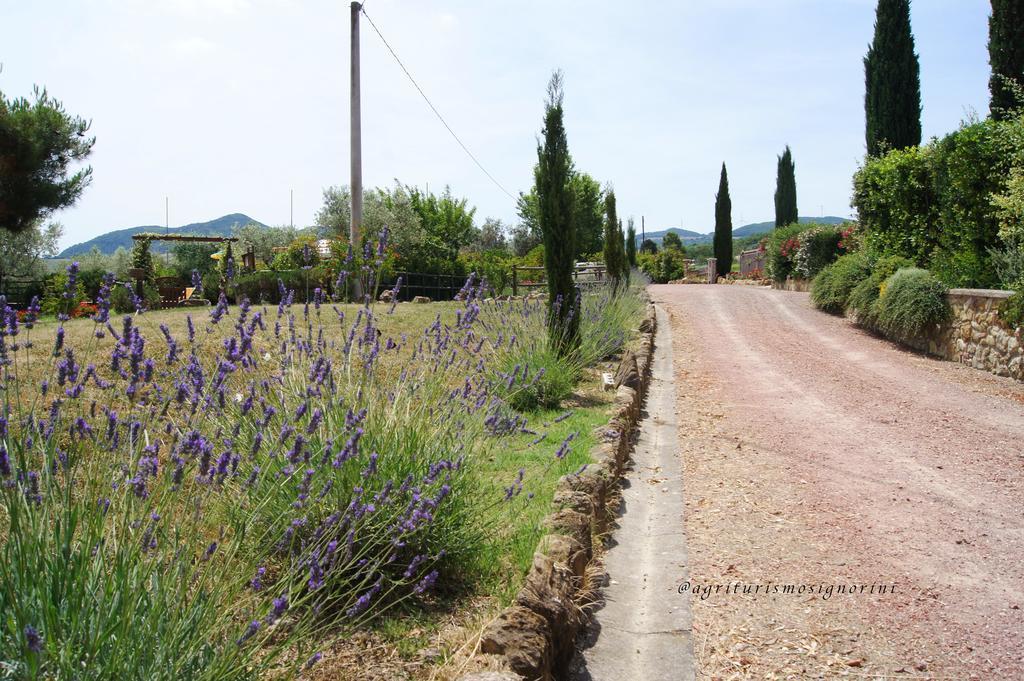 Agriturismo Signorini Orciatico ภายนอก รูปภาพ