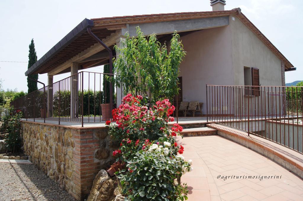Agriturismo Signorini Orciatico ภายนอก รูปภาพ