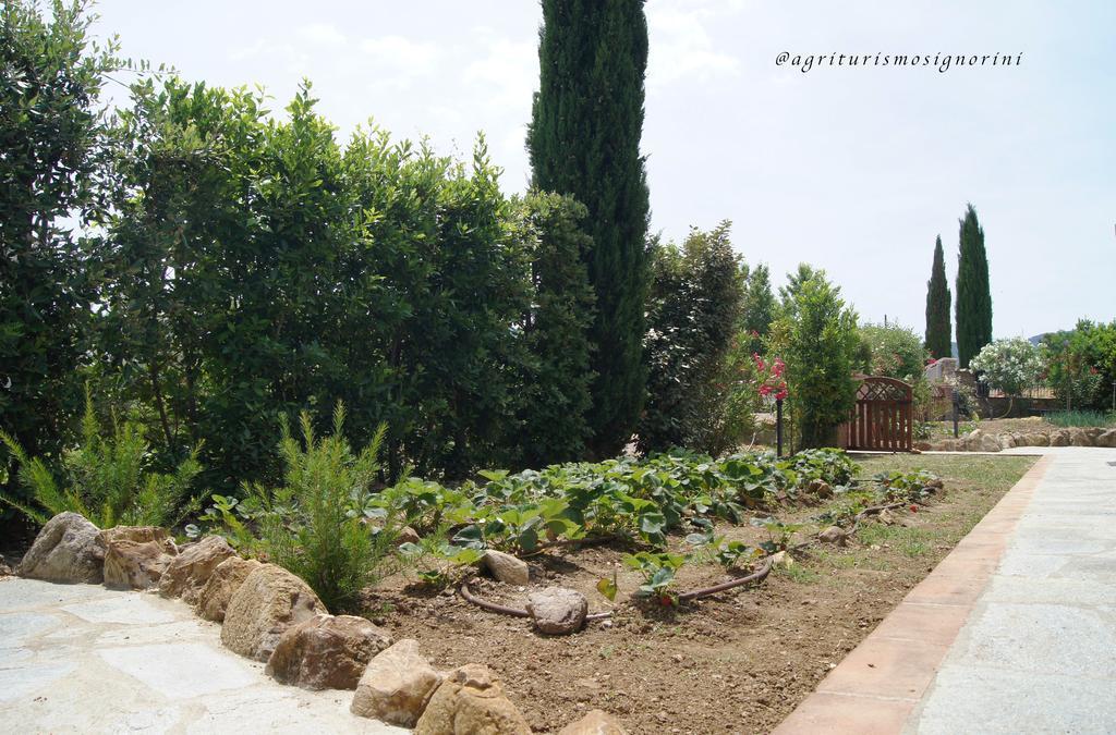 Agriturismo Signorini Orciatico ภายนอก รูปภาพ