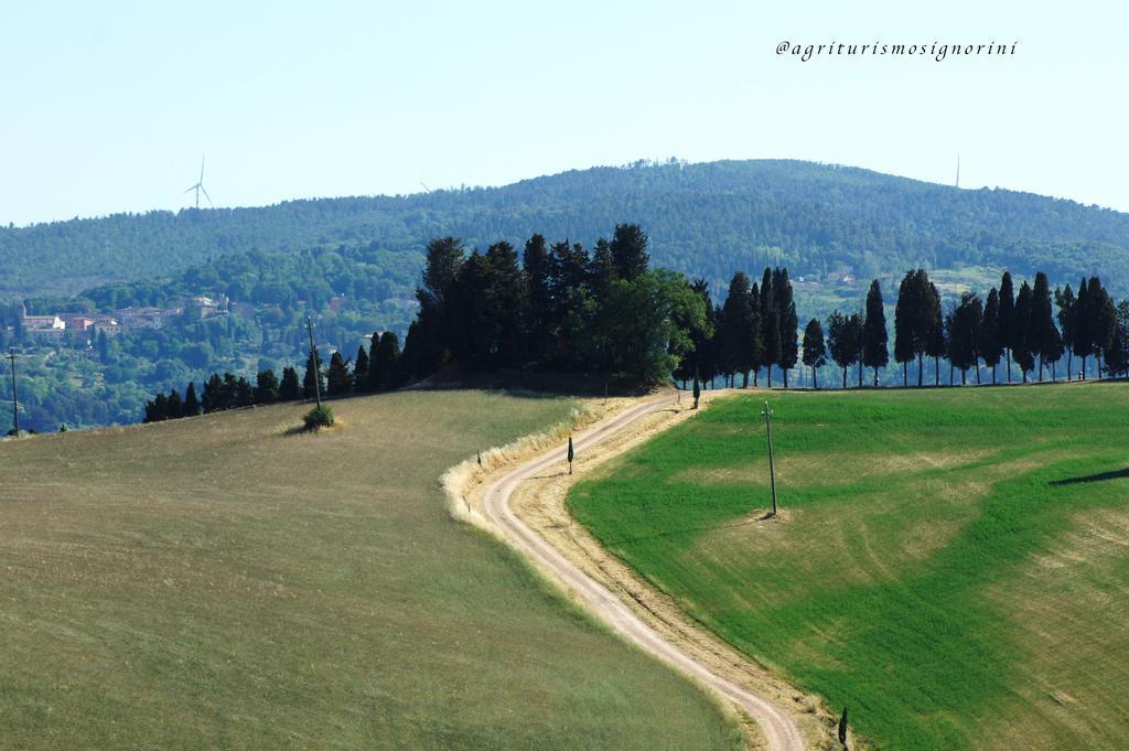 Agriturismo Signorini Orciatico ภายนอก รูปภาพ