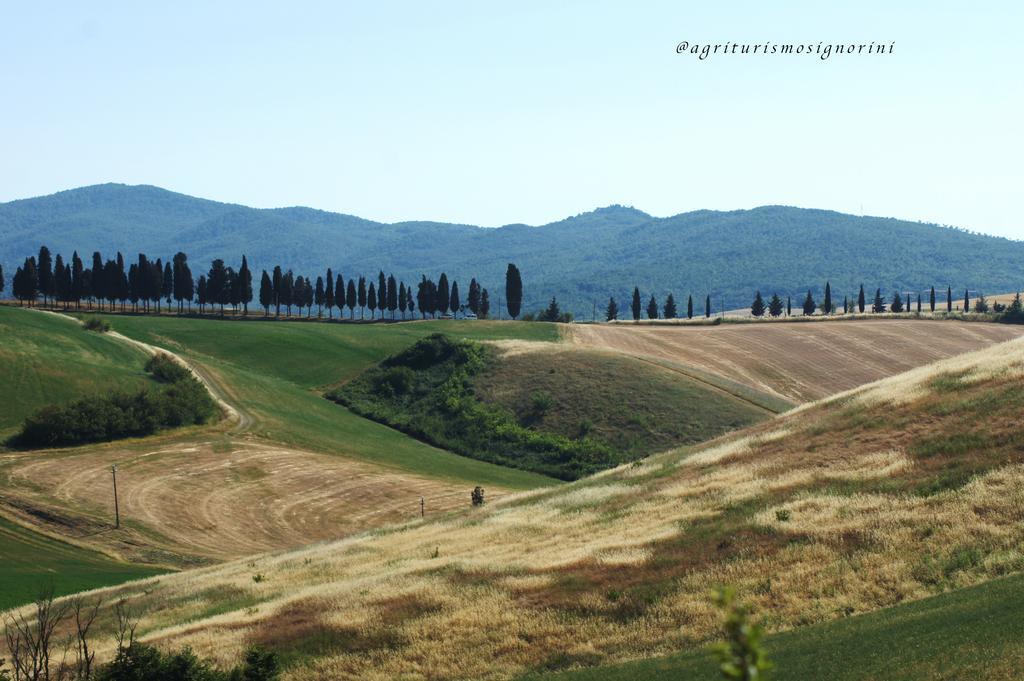 Agriturismo Signorini Orciatico ภายนอก รูปภาพ