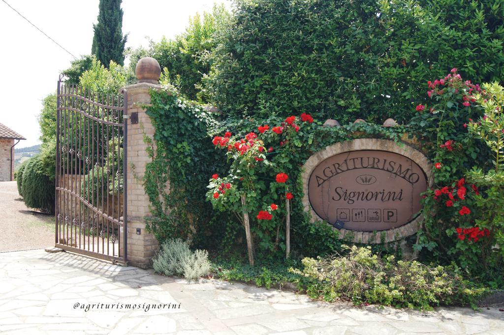 Agriturismo Signorini Orciatico ภายนอก รูปภาพ
