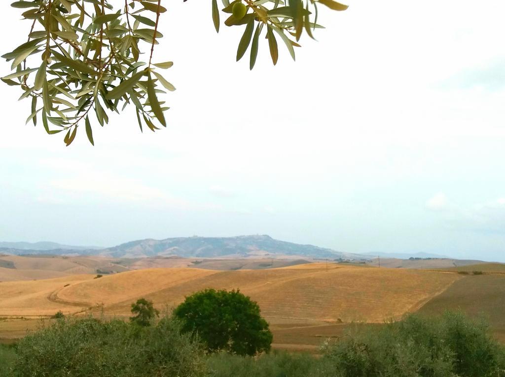 Agriturismo Signorini Orciatico ภายนอก รูปภาพ