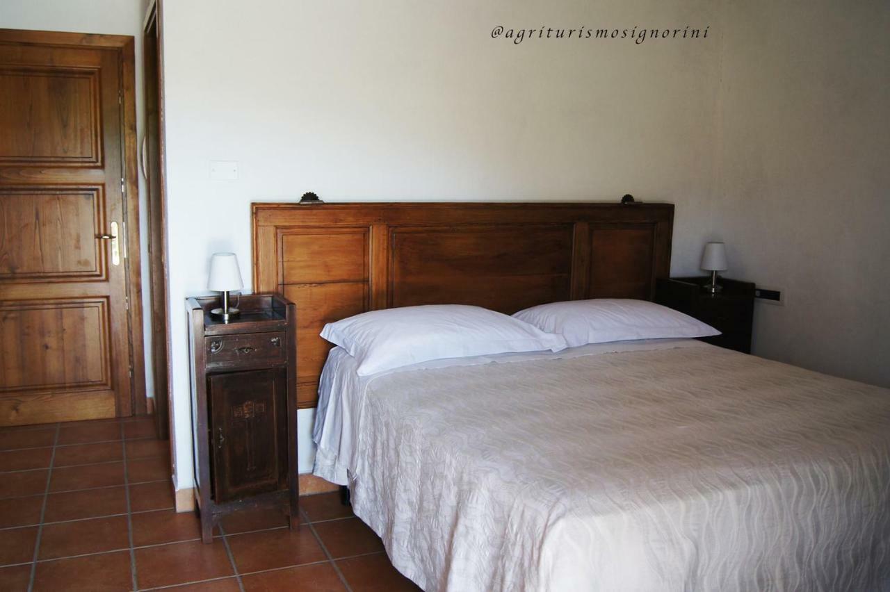 Agriturismo Signorini Orciatico ภายนอก รูปภาพ